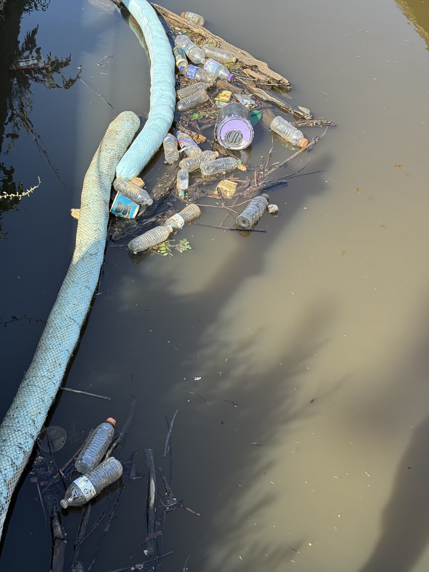 Plastic bottles and debris rafted together on the brown water of the Anacostia River.