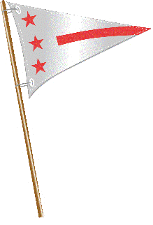 District Yacht Club burgee